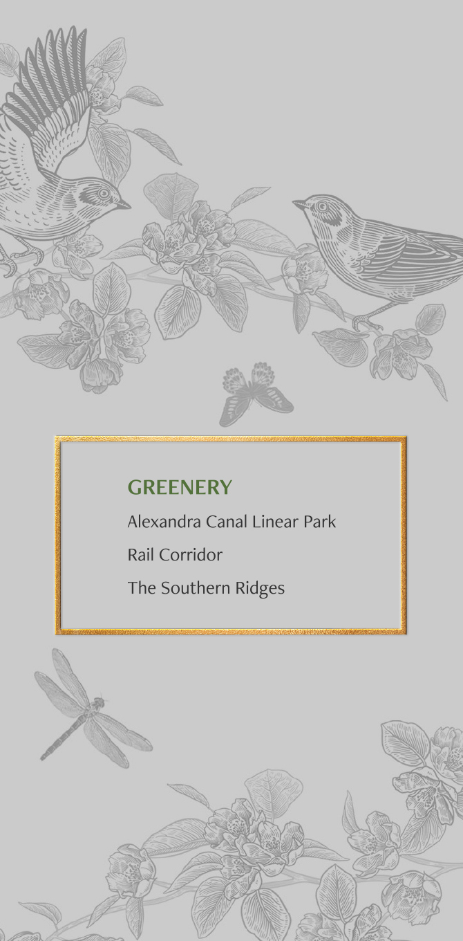 Nature Background Mobile